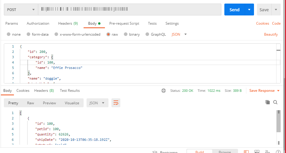 Request Parameter Mapped Swagger